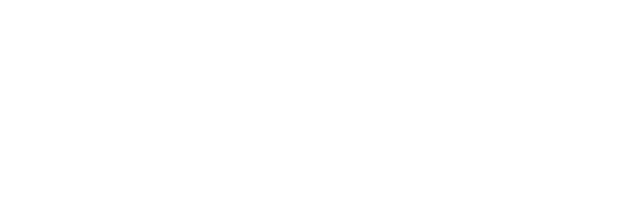 Logo Botonini